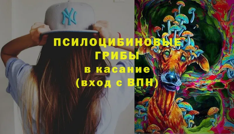 Галлюциногенные грибы MAGIC MUSHROOMS Вилючинск